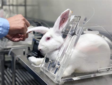 est ce que dior teste sur les animaux|dior animal testing policy.